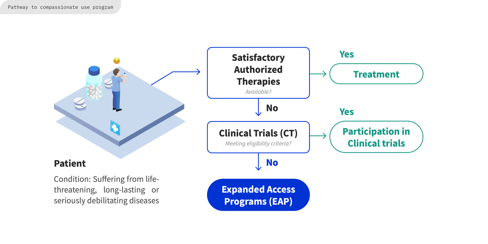 an illustration of how patients with unmet medical needs access CT and EAP